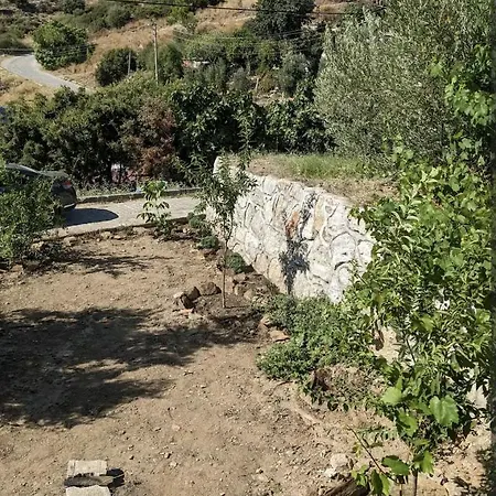 Traditional Stone