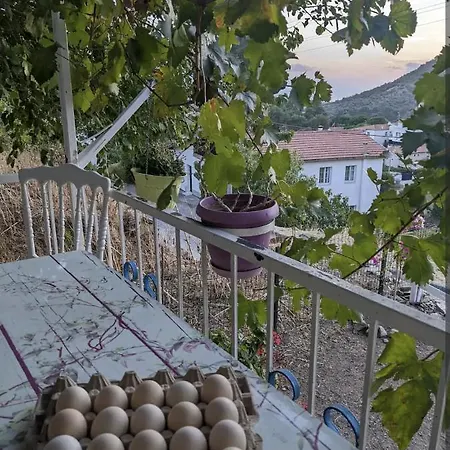 Traditional Stone Hotel 3*
